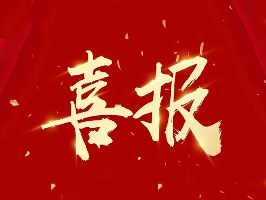 子公司江苏天鸟高新荣膺中国航天科工集团“一级供应商”荣誉称号！